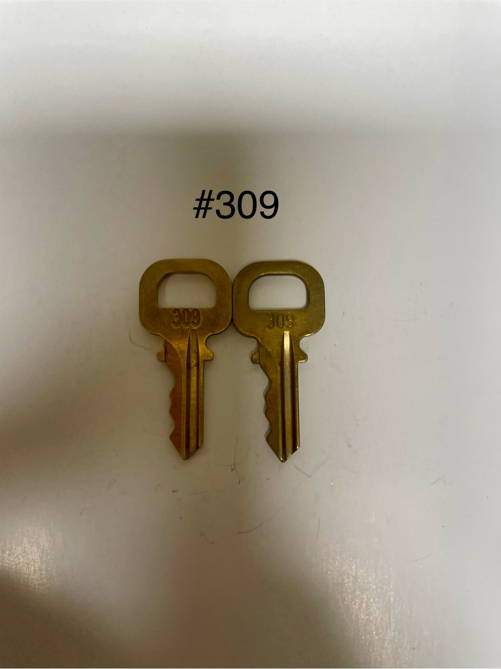 Authentic Louis Vuitton Spare Key #309